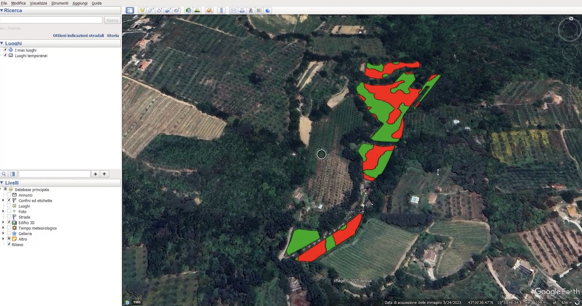 Marina Tinacci Mannelli spiega che a mappa di vigorìa di Agrobit permette di individuare le zone del vigneto con vigorìe diverse e di organizzare la vendemmia in modo selettivo
